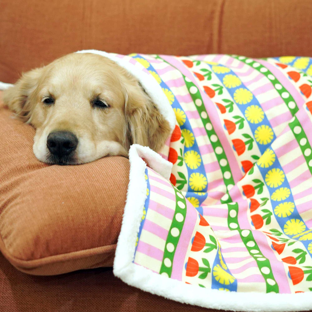 Pets Way Bloom Ultra Soft Winter Blanket for Dogs - Image 4