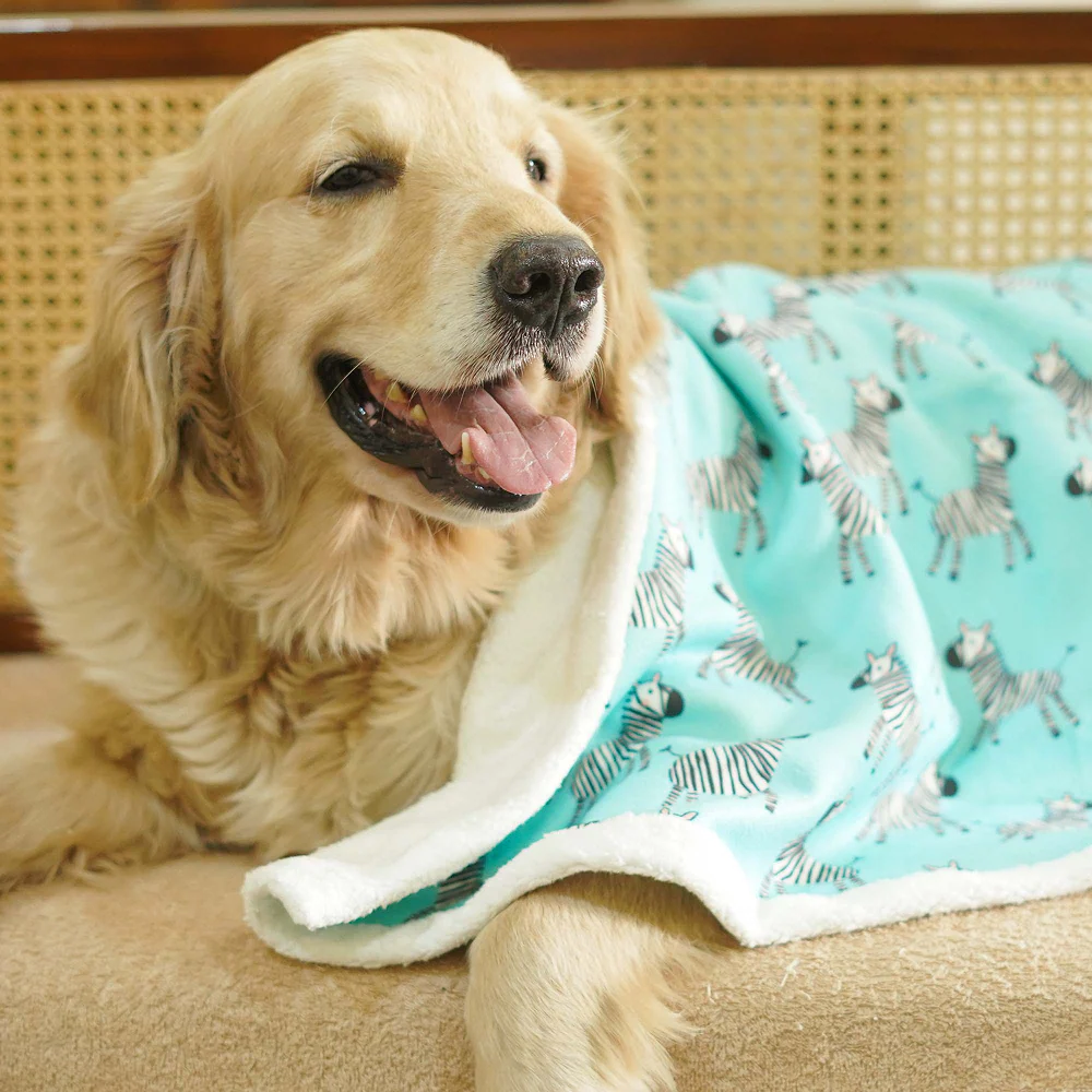 Pets Way Zebra Ultra Soft Winter Blanket for Dogs - Image 7