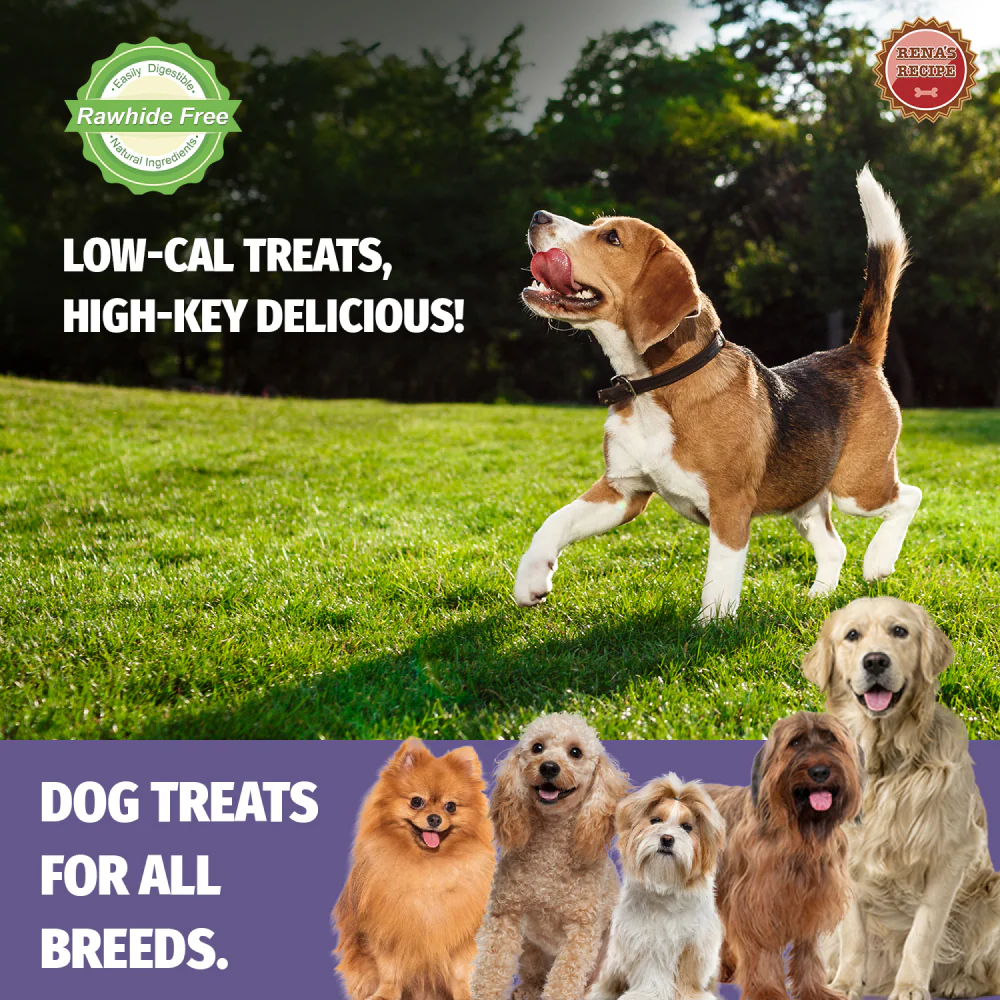 Rena Love Dumbbell Treats for Dogs (Buy 1 Get 1 Free) - Image 5