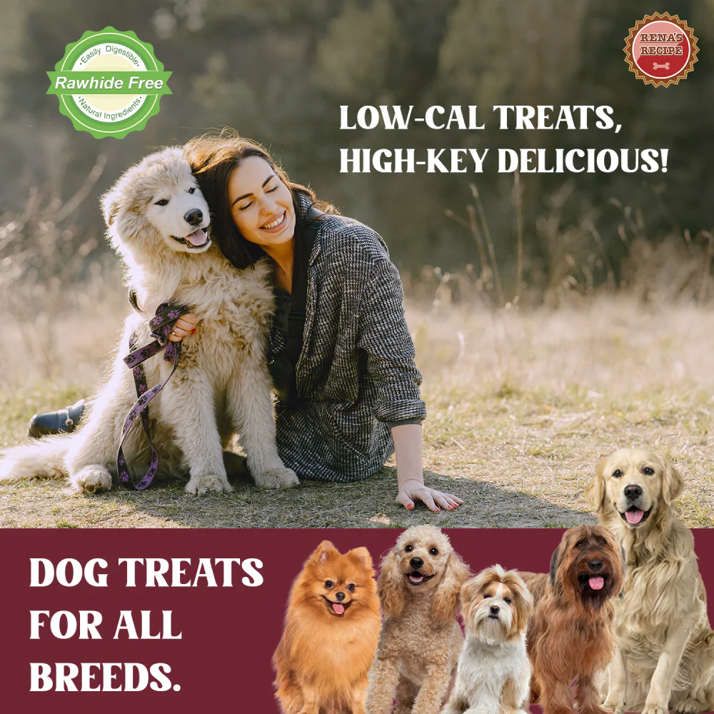 Rena Love Kabobs Dog Treats (Buy 1 Get 1 Free) - Image 7
