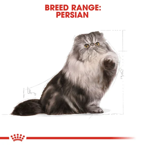Royal Canin Persian Adult Cat Dry Food - Image 8