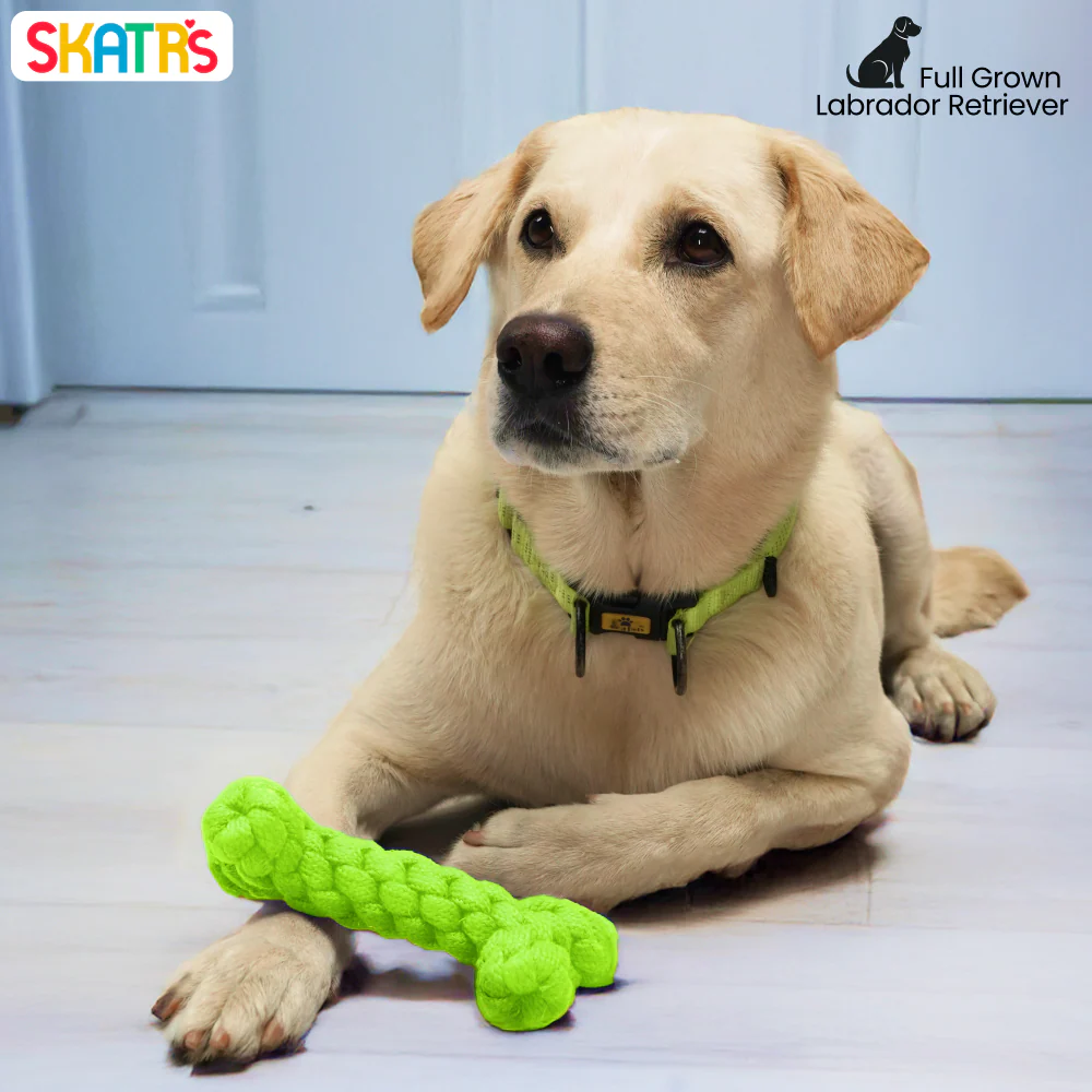 Skatrs Bone Shaped Rope Chew Toy for Dogs and Cats (Neon Green) - Image 3