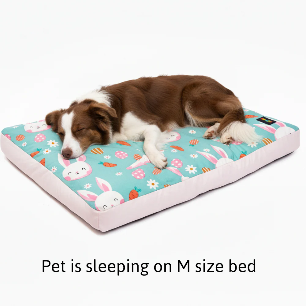 Skatrs Bunny Bloom Flat Bed for Dogs & Cats (Light Blue) - Image 4