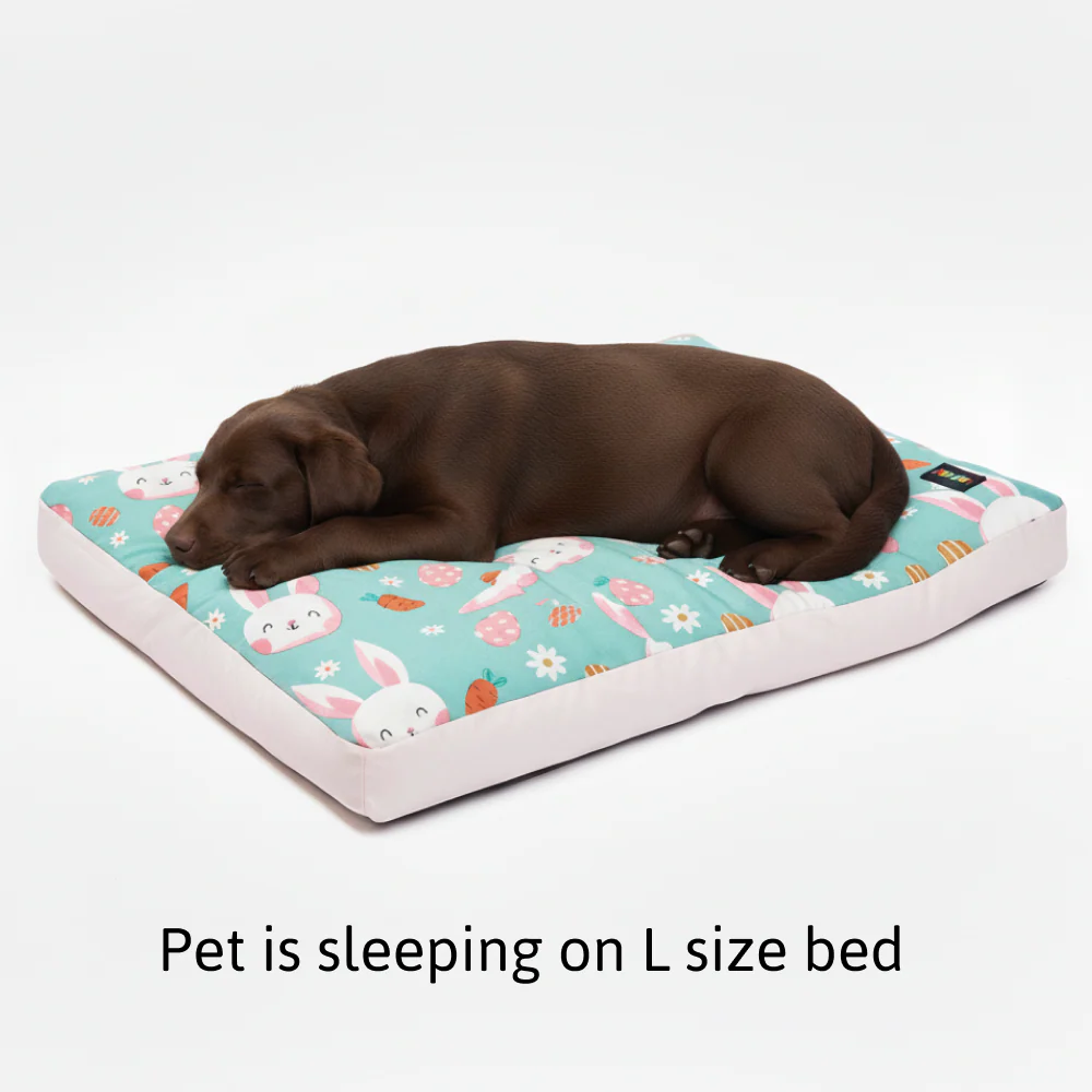 Skatrs Bunny Bloom Flat Bed for Dogs & Cats (Light Blue) - Image 5