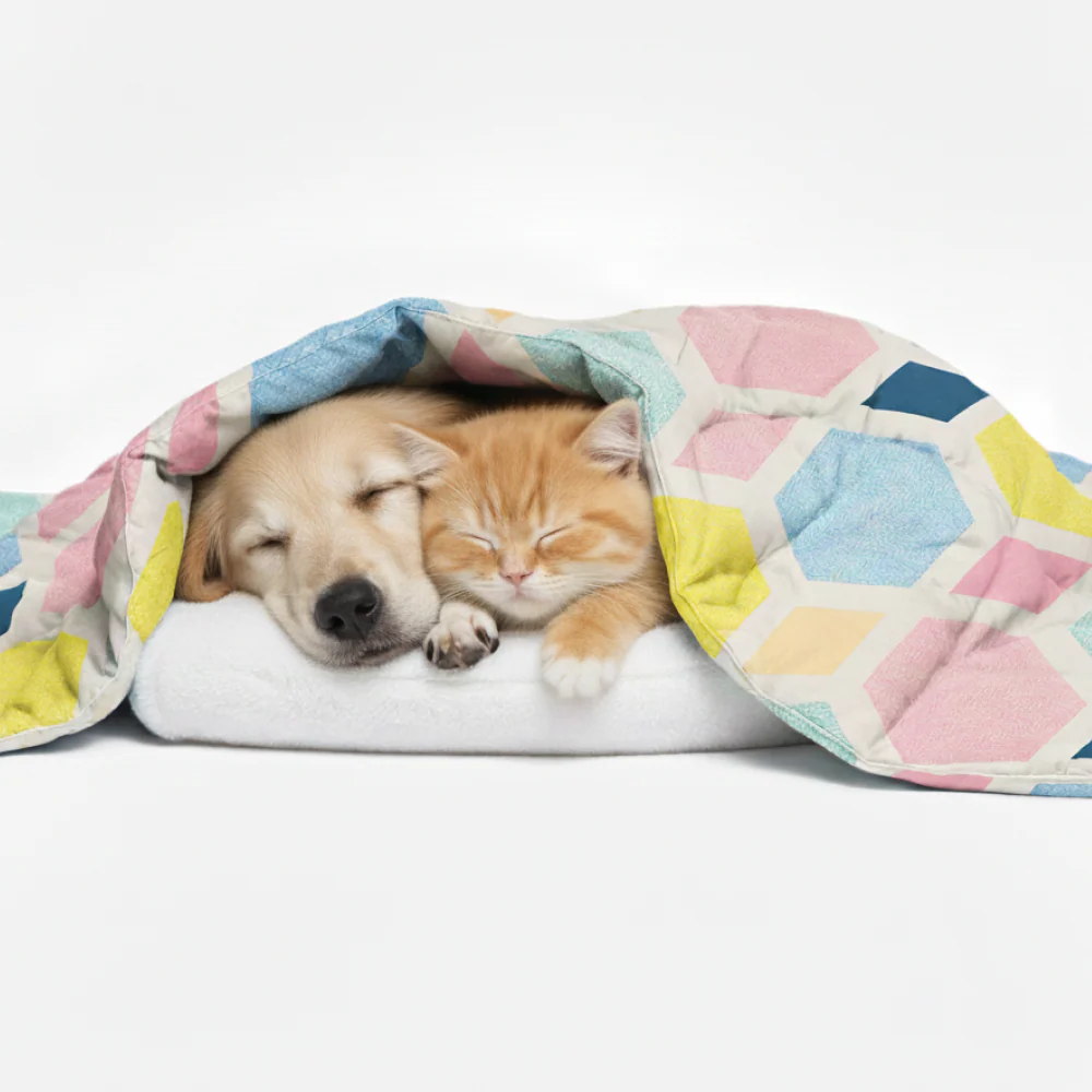 Skatrs ColorPop Blanket for Dogs & Cats - Image 4