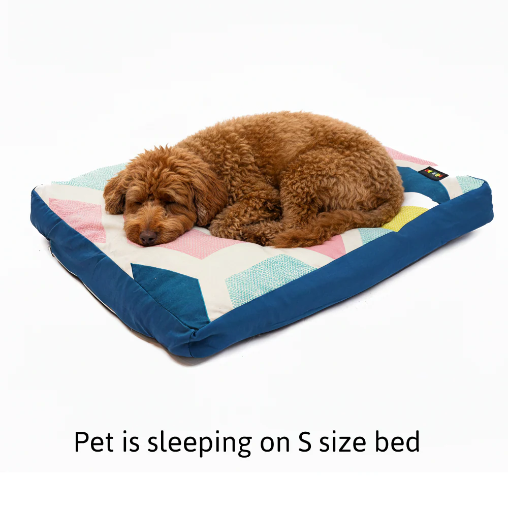 Skatrs ColorPop Flat Bed for Dogs & Cats - Image 3