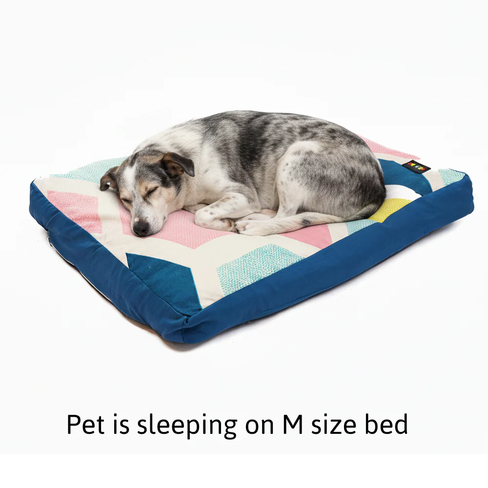 Skatrs ColorPop Flat Bed for Dogs & Cats - Image 4