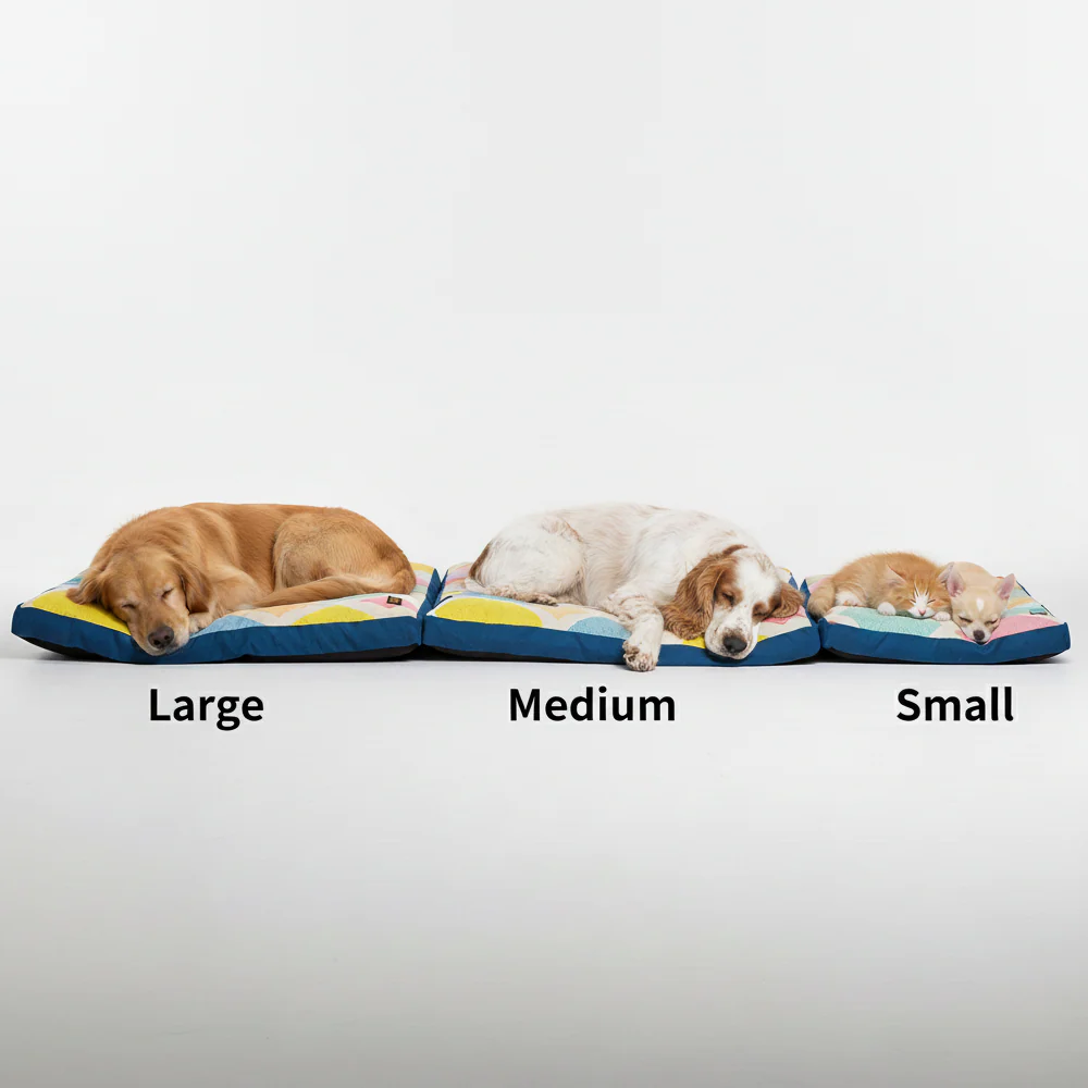 Skatrs ColorPop Flat Bed for Dogs & Cats - Image 7