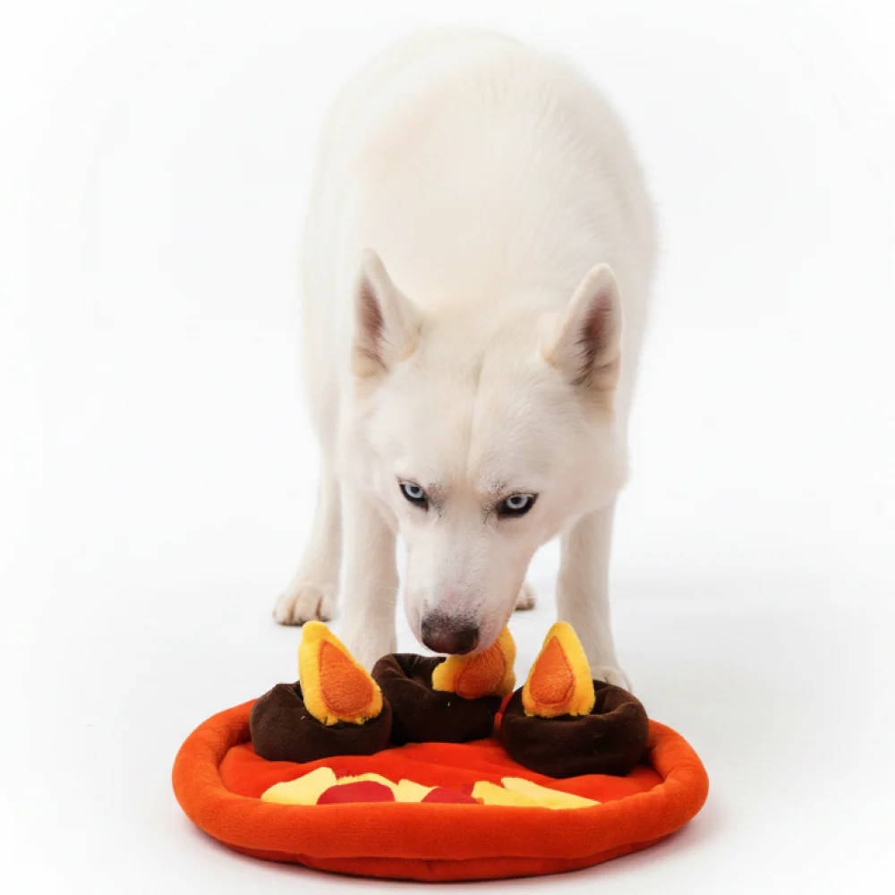 Skatrs Festi Sniff Diya Mat for Dogs - Image 3