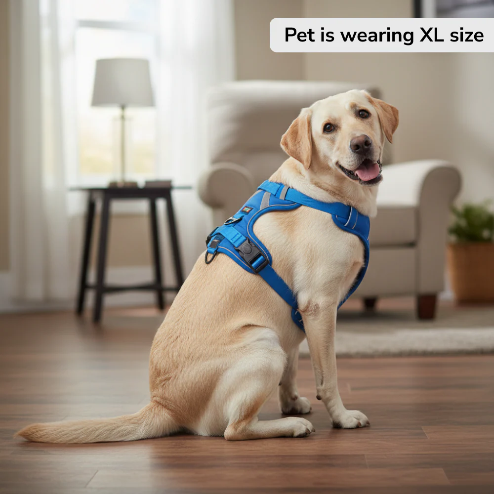 Skatrs Fully Padded Comfort Electric Reflective Harness for Dogs & Cats (Blue) - Image 8