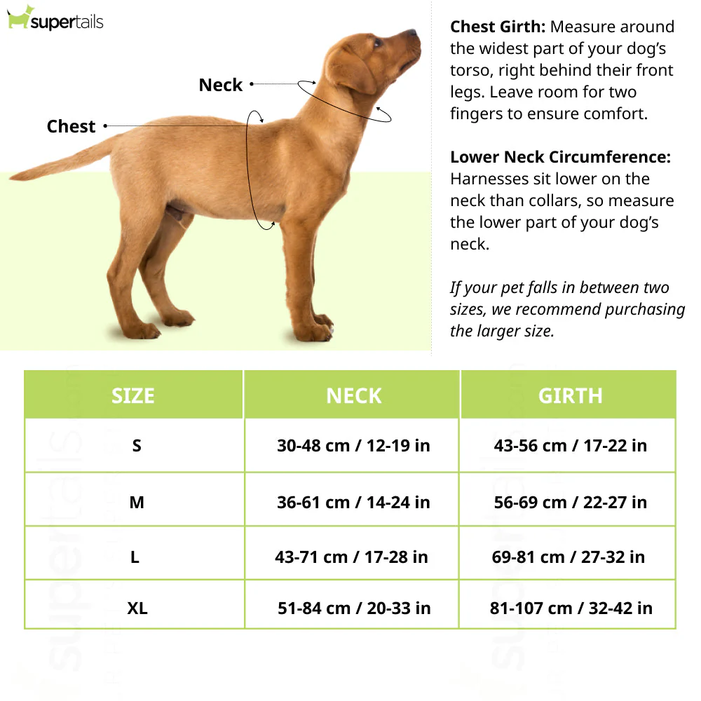 Skatrs Fully Padded Comfort Fiery Reflective Harness for Dogs & Cats (Orange) - Image 9