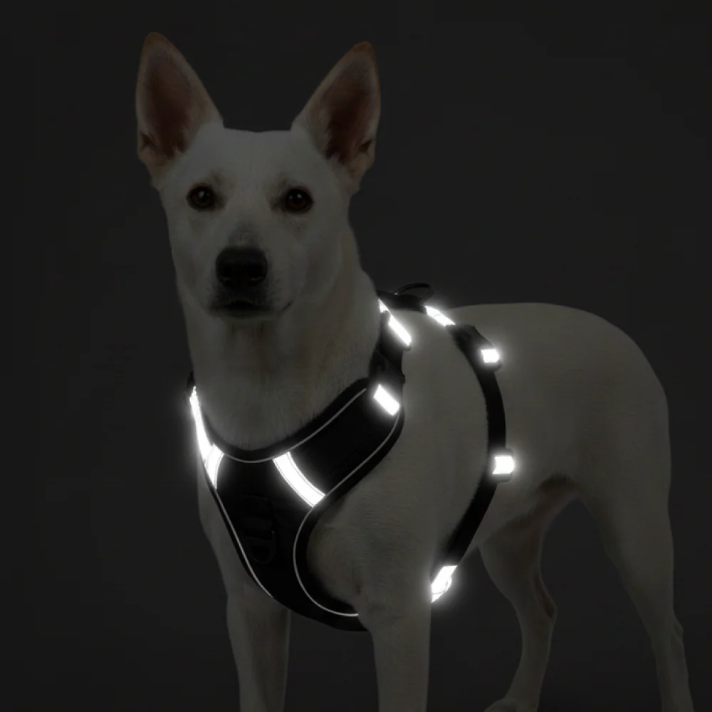 Skatrs Fully Padded Comfort Midnight Reflective Harness for Dogs & Cats (Black) - Image 3