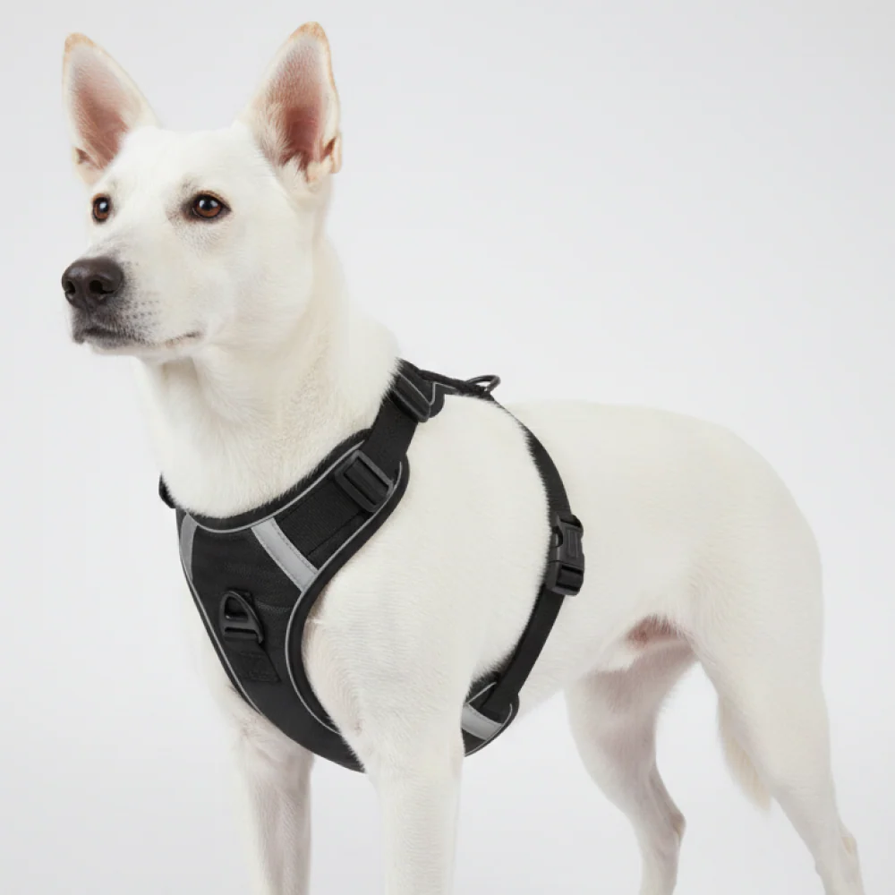 Skatrs Fully Padded Comfort Midnight Reflective Harness for Dogs & Cats (Black) - Image 4