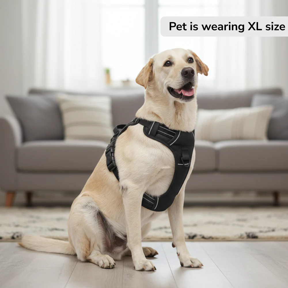 Skatrs Fully Padded Comfort Midnight Reflective Harness for Dogs & Cats (Black) - Image 9