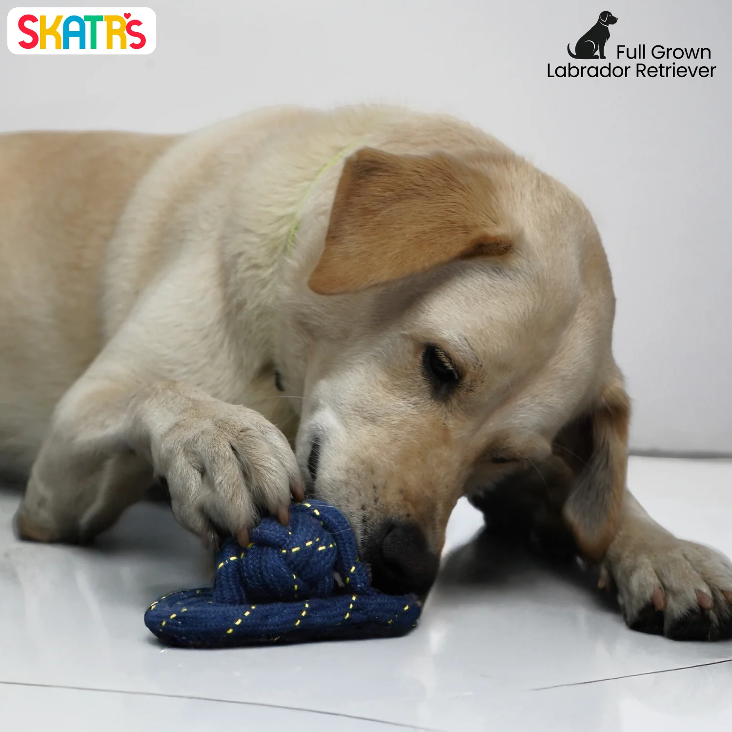 Skatrs Sandal Shaped Hand Made, Durable Rope Chew Toy for Dogs & Cats - Image 4