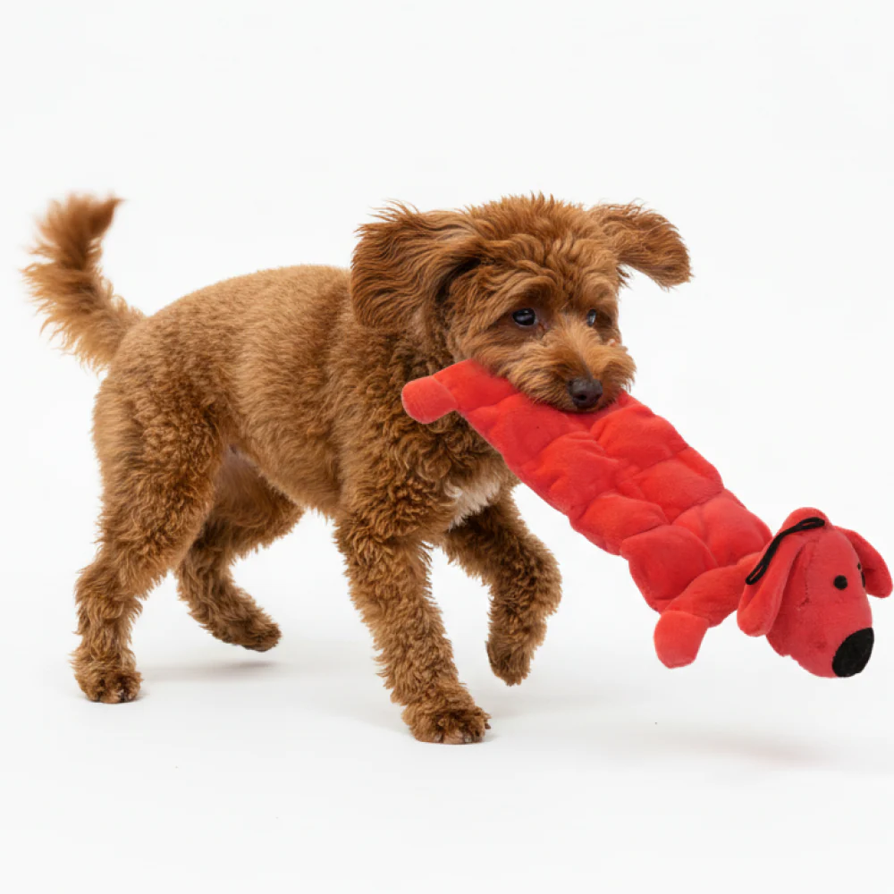 Skatrs Soft & Fun Squeaky Plush Mat Toy for Dogs - Image 5