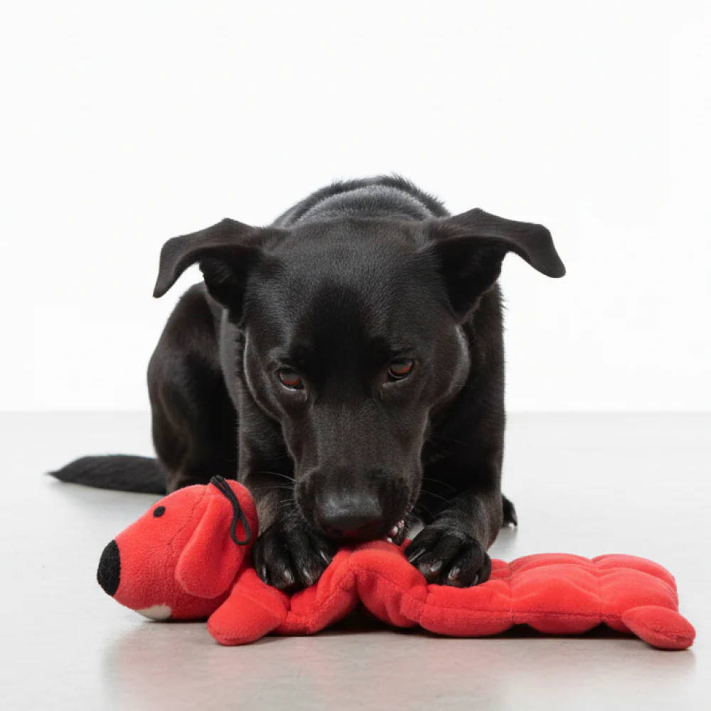 Skatrs Soft & Fun Squeaky Plush Mat Toy for Dogs - Image 6