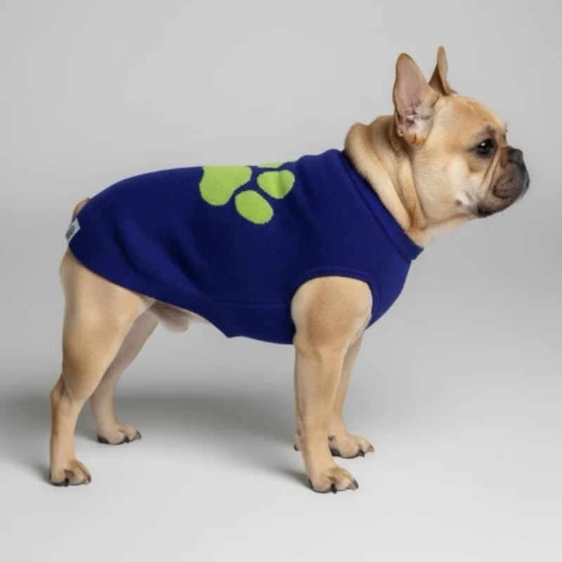 Talking Dog Club Bright Winter High Paw Jumper Sweater for Dogs (Blue) - Image 3