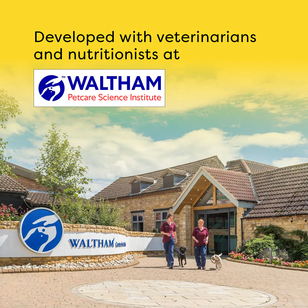 Temptations Creamy Purrrr ee Chicken & Tuna Cat Treats - Image 9