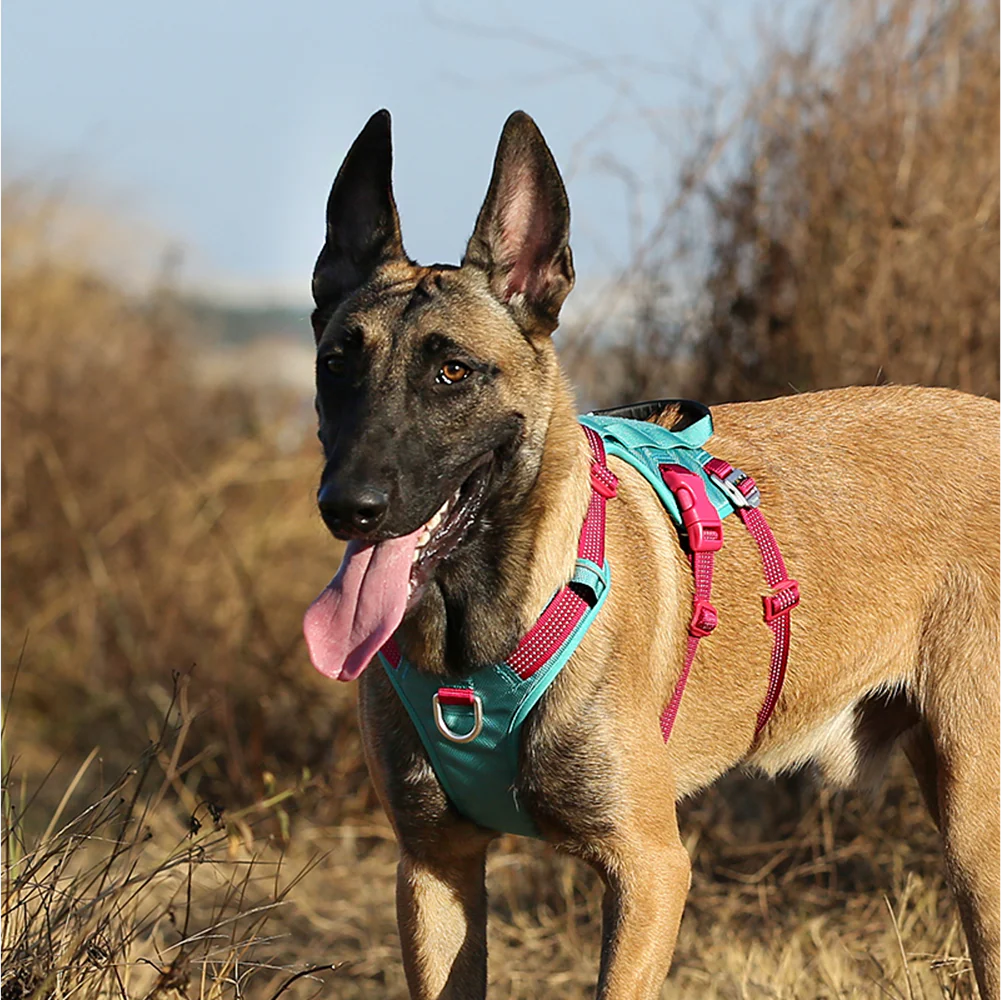 Truelove Escape proof harness for Dogs (Ribbon Red) - Image 8